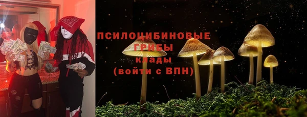 спайс Арсеньев