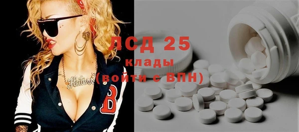 сатива Армянск
