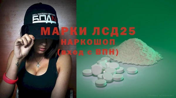 сатива Армянск