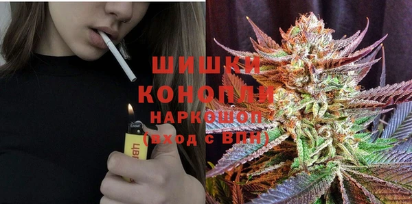 крисы Аркадак