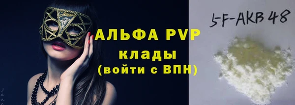 крисы Аркадак