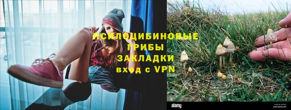 крисы Аркадак
