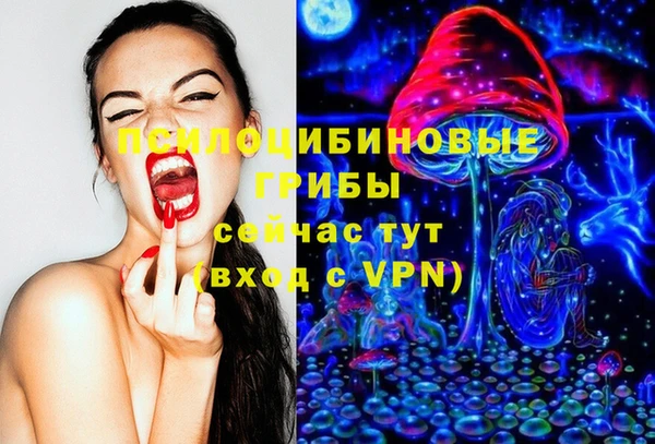 спайс Арсеньев