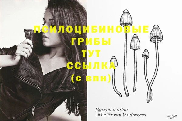 крисы Аркадак
