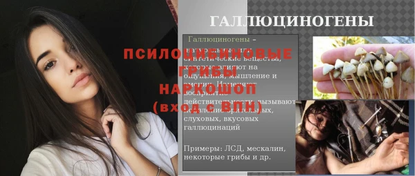 спайс Арсеньев