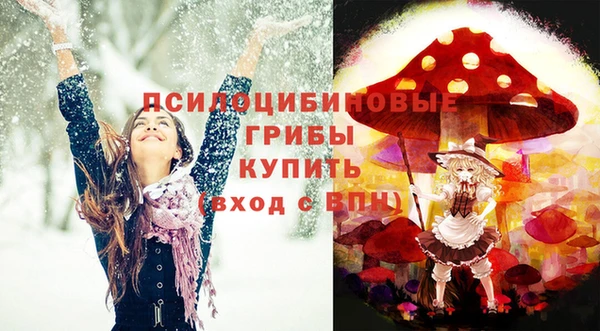 спайс Арсеньев