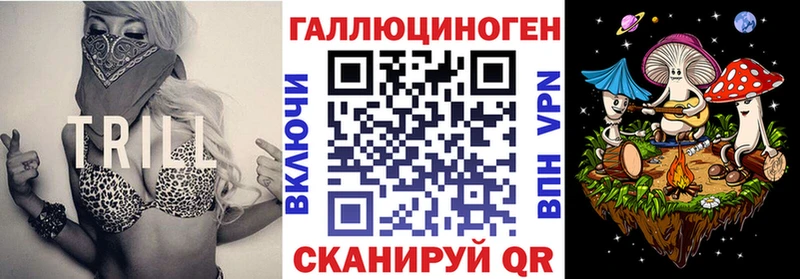 даркнет Telegram Чадан Галлюциногенные грибы прущие грибы