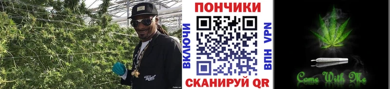 Каннабис ГИДРОПОН  это как зайти  Чадан 